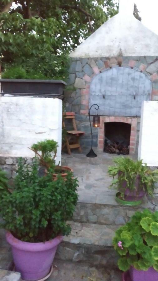 הוילה Arménoi Irini House מראה חיצוני תמונה